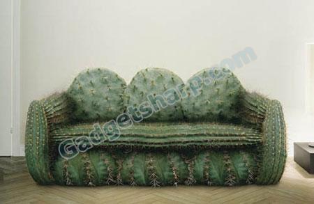 Cactus Couch