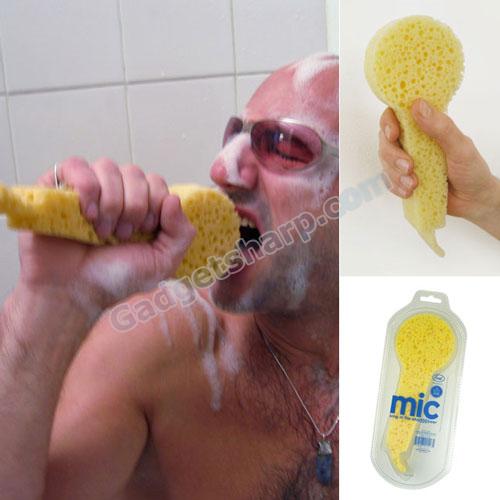 SHOWER MIC