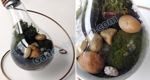 Light Bulb Terrarium