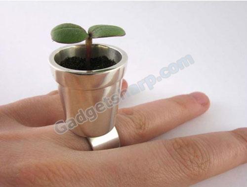 Flower Pot Ring