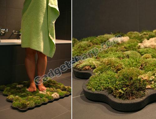 Immaculate Mini Lawn In Your Loo