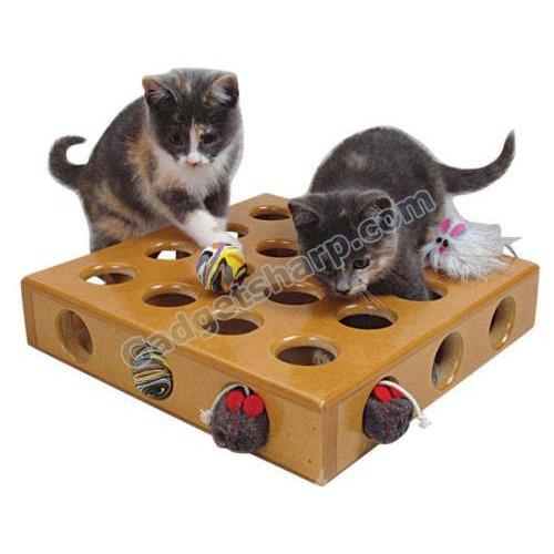 SmartCat Peek-A-Prize Cat Toy Box