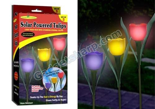 Solar Powered Tulips