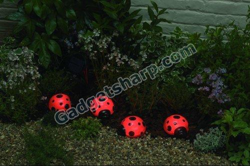 Ladybug Solar Light Set