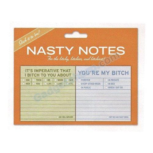 Nasty Notes Ultra-witty Novelty Gag Sticky Notes