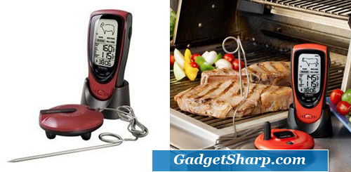 https://img.gadgetsharp.com/2010/12/thermometer/6.jpg