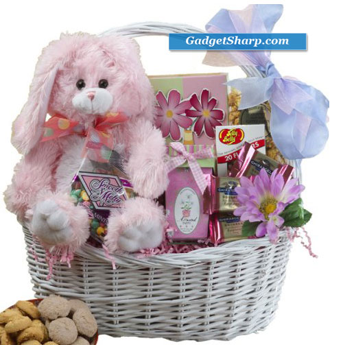 Special Easter Gift Basket PINK or PURPLE Bunny Rabbit