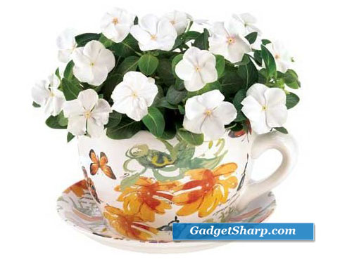 Butterfly Teacup Planter