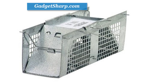 Two-Door 10-by-3-by-3-Inch Cage Trap for Mice