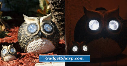 Solar Owl Accent Lights