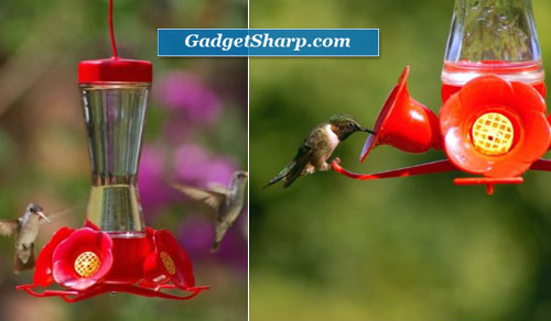 Pinch Waist Glass 8-Ounce Hummingbird Feeder