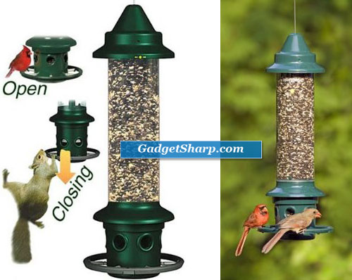 Squirrel Buster Plus Wild Bird Feeder with Cardinal Perch Ring