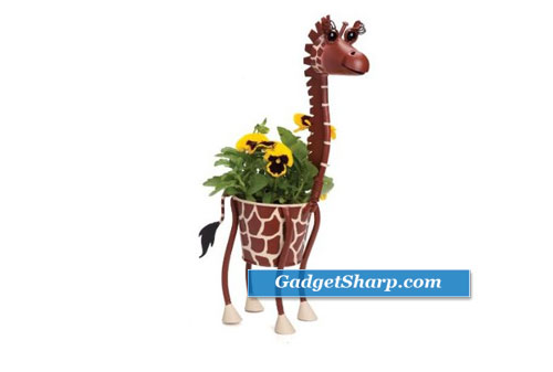 Designs Inspired by Giraffe