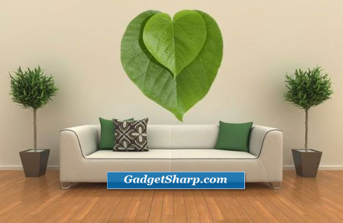 Leaf Shaped Product