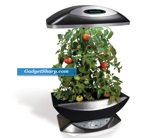 Indoor Herb Garden Kits