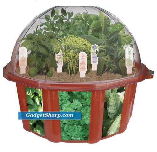 Indoor Herb Garden Kits