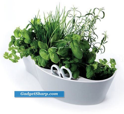 Indoor Herb Garden Kits