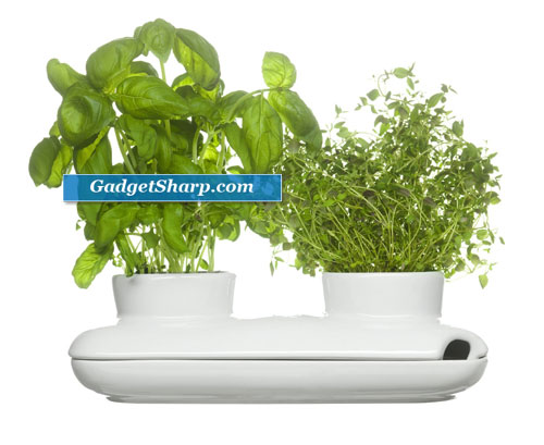 Indoor Herb Garden Kits