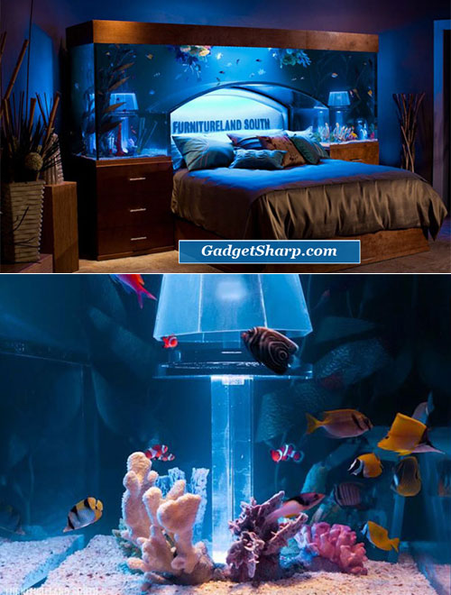 Cool Aquariums