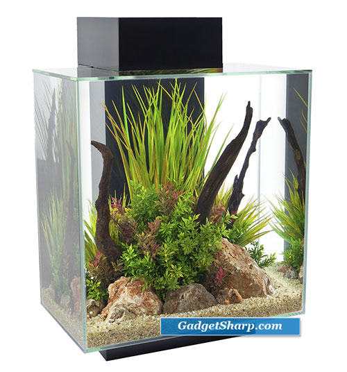 Cool Aquariums