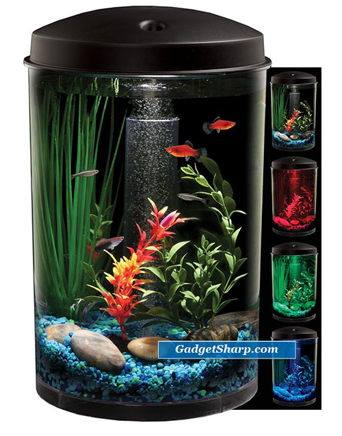 9 Cool Aquariums for Fish Lovers | Gadget Sharp