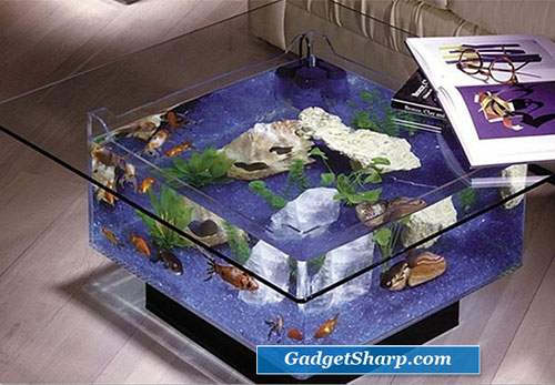 Cool Aquariums