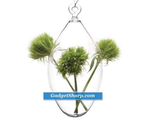 Hanging Flower Vases