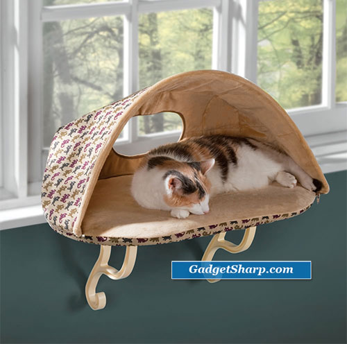 Pet Furniture