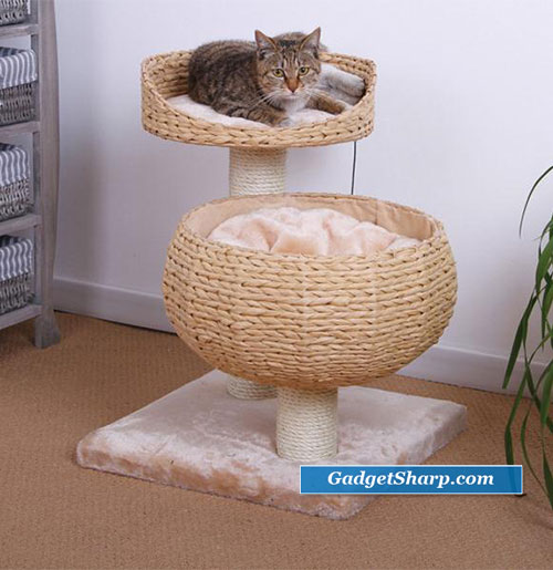 Pet Furniture