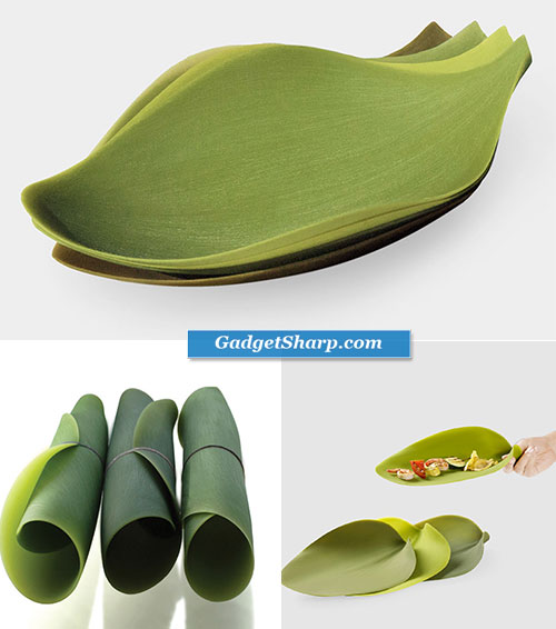 Leaf Inspired Product