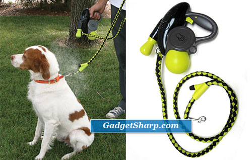 Dog Leashes