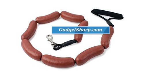 Dog Leashes