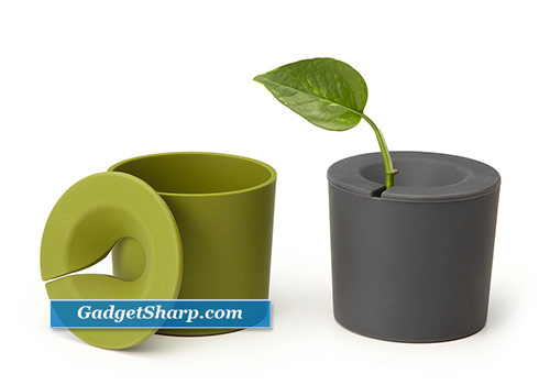 Cool Planters