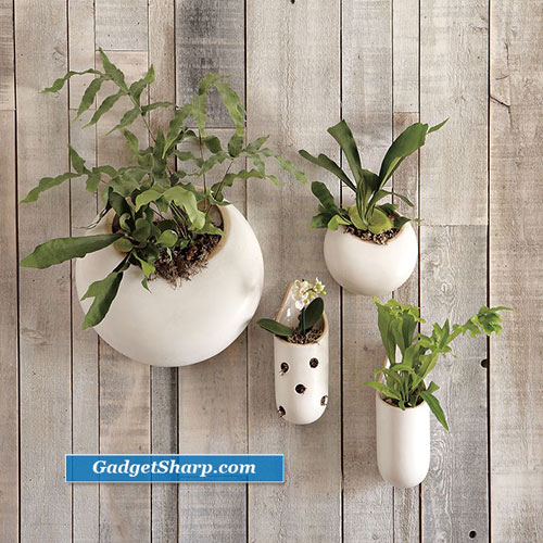 Wall Planters