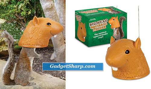 Squirrel Feeder