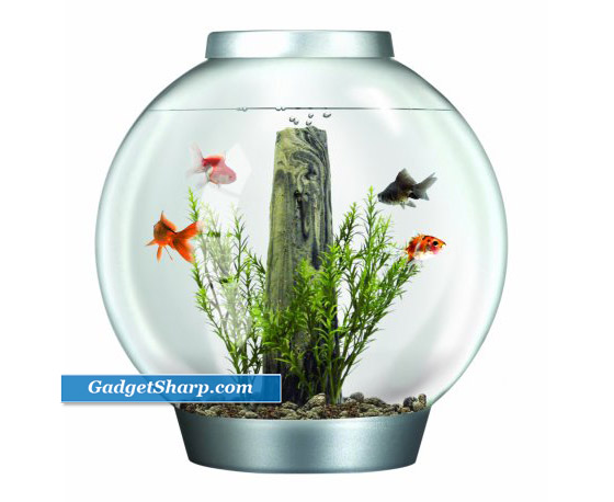 biOrb Aquarium: a Combination of traditional fish bowl and Hi-Tech aquarium