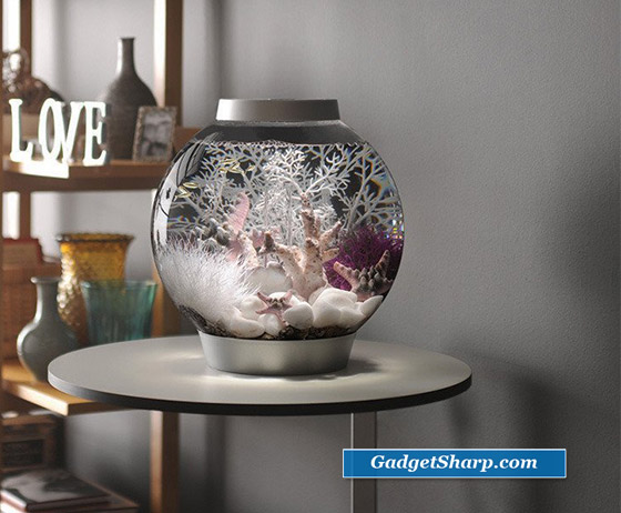 biOrb Aquarium: a Combination of traditional fish bowl and Hi-Tech aquarium