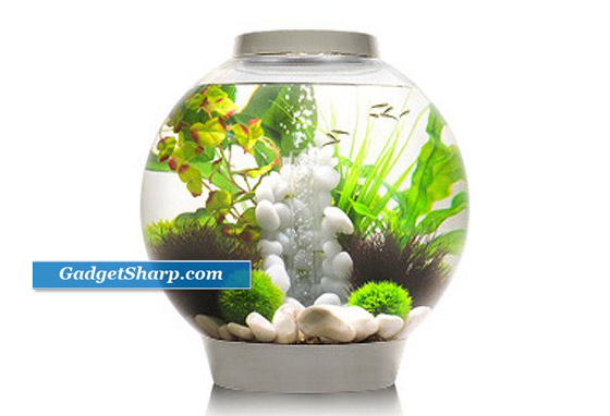 biOrb Aquarium: a Combination of traditional fish bowl and Hi-Tech aquarium