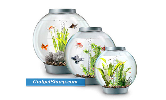 biOrb Aquarium: a Combination of traditional fish bowl and Hi-Tech aquarium