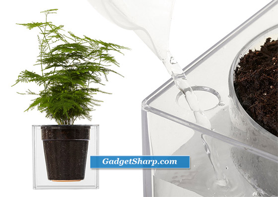 Boskke Cube: Self-Watering Plant Pot